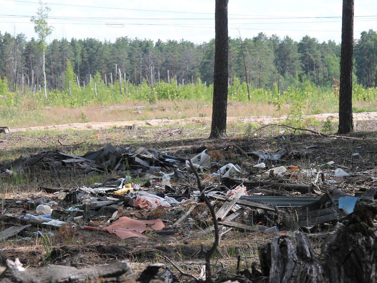 Лесной дозор Ризадеевское лесничество мусор (Выкса, 2019 г.)