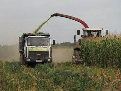 В Нижегородской области запущен портал для сельхозпроизводителей