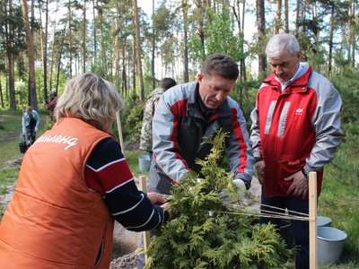 Руководители Объединённой металлургической компании приняли участие в посадке деревьев в выксунском парке