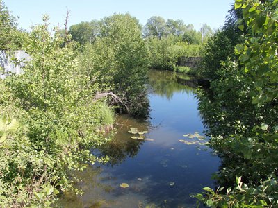 Спасём реки – сохраним пруды
