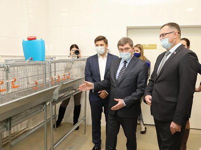 Новая учебная лаборатория по птицеводству появилась в Нижегородской сельскохозяйственной академии