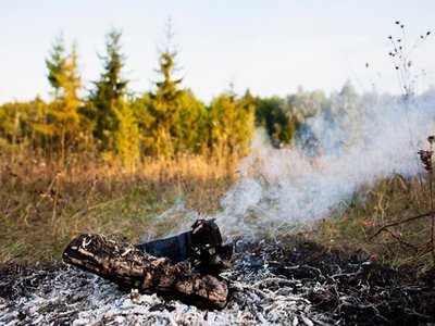 В отдельных районах области ожидается четвёртый класс пожароопасности