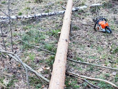 Нижегородские леса охраняют беспилотники