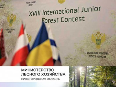 Нижегородская область вошла в ТОП-10 лидеров международного лесного конкурса