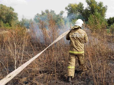 В Рожновском лесничестве 27 июля произошёл пожар