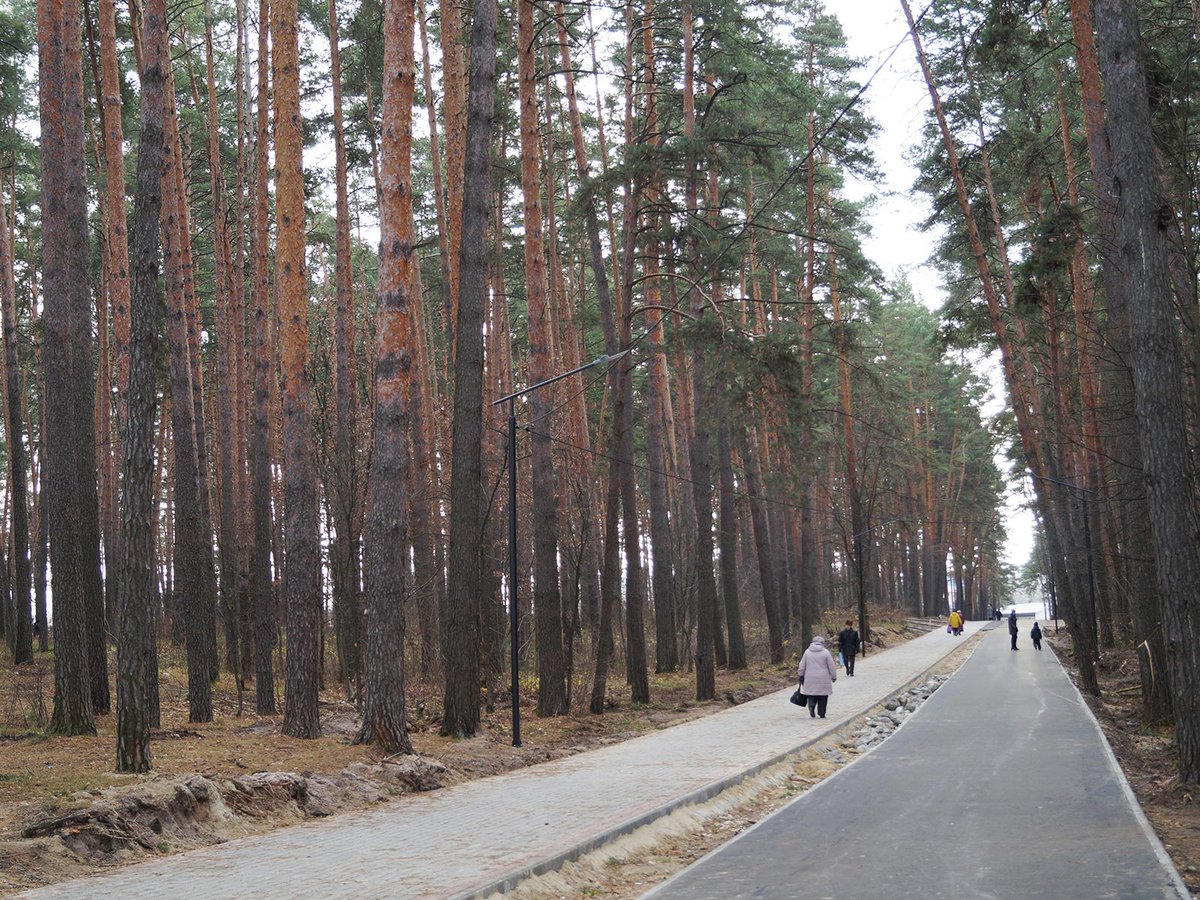 Лесопосадка выкса карта