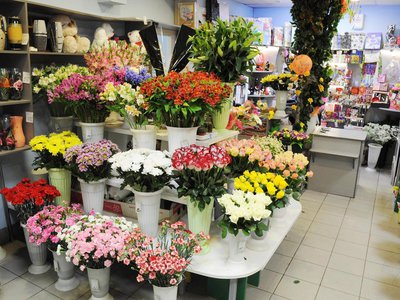 В Нижегородской области откроются цветочные магазины и точки продажи запчастей