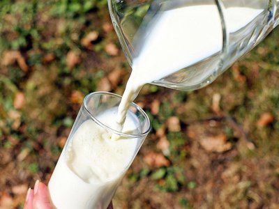 В кстовском молоке выявили антибиотик