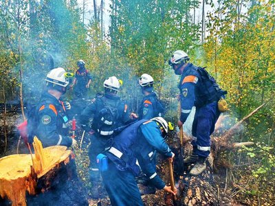Пожарные из семи регионов продолжают бороться с огнём в Мордовском заповеднике