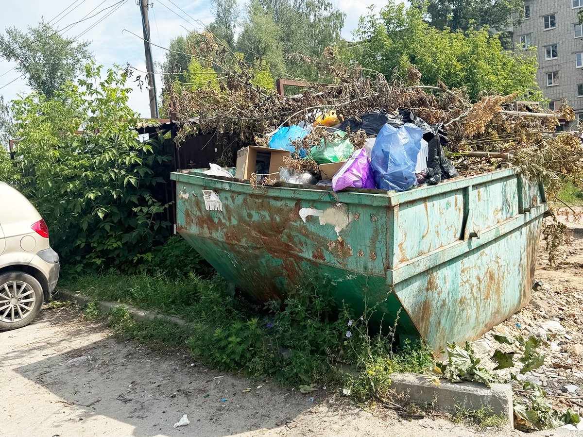 мусорка_у_дома_24_к_скрину_с_цитатой.jpg