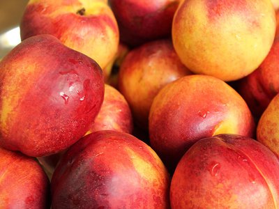 В импортных фруктах обнаружен опасный вредитель