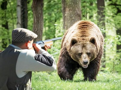 В области 1 августа открывается сезон охоты на медведя