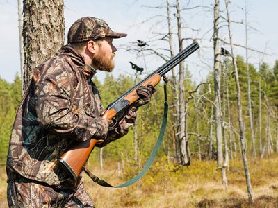 126 нижегородских охотников выиграли права на добычу животных