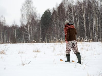 В Нижегородской области началась «Перепись» диких животных
