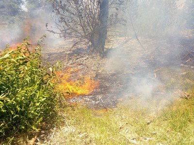 В Шиморском сгорело 150 кв. м травы