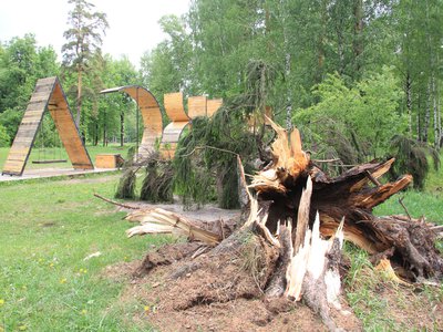 Последствия урагана 29 мая в Выксе: парк