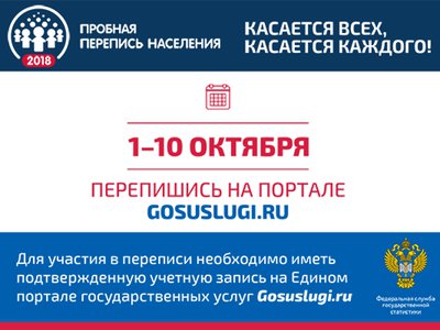 Нижегородцы смогут принять участие в переписи через региональный портал госуслуг