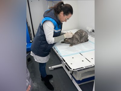 Ветеринарный «поезд здоровья» для животных начал работу в пилотном режиме в Кстовском округе