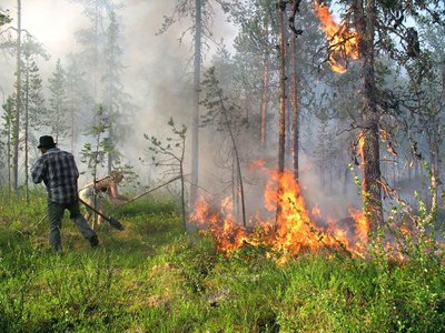 В связи с установлением 4 класса пожарной опасности в округе введён запрет на посещение лесов