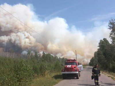 Спасатели продолжают ликвидировать природный пожар в «Заповедной Мордовии»