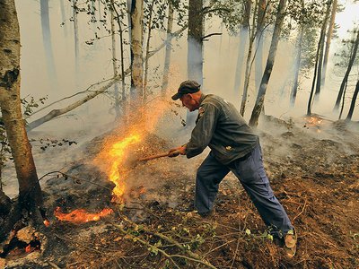 Почти половина лесных пожаров в регионе возникло по вине человека