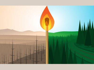 Обстановка с лесными пожарами  в области ухудшается