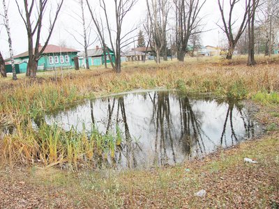 На улице Ризадеевской  исчезает пруд