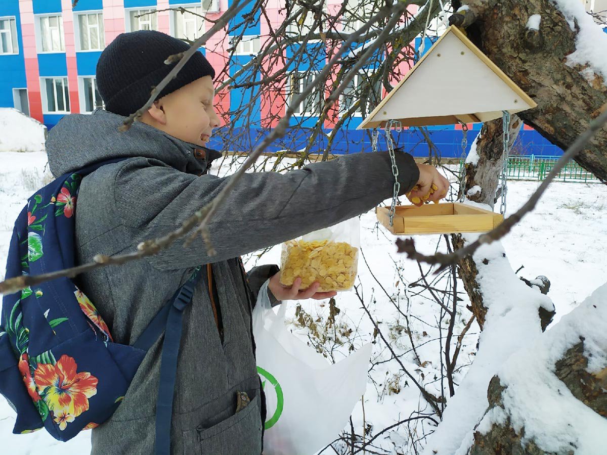 Фото птичья столовая в детском саду