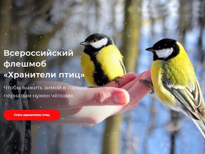 Выксунцам предлагают принять участие во Всероссийском флешмобе «Хранители птиц»