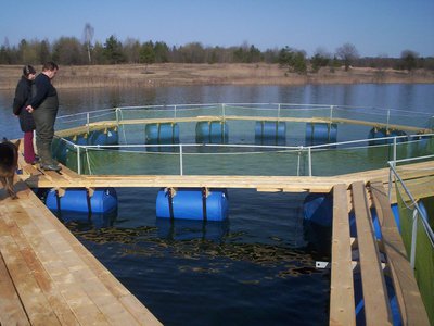 Глеб Никитин: «Программа «Развитие товарной аквакультуры» доказала свою эффективность»