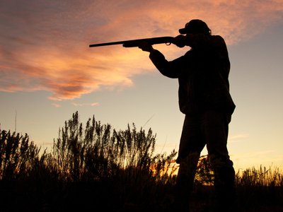 Два охотника получили огнестрельные ранения на охоте