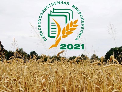 В Нижегородской области завершился основной этап сельскохозяйственной микропереписи