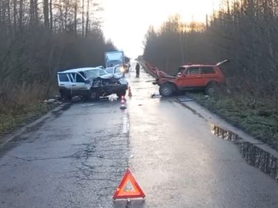 В ДТП возле Сноведи погибли два человека