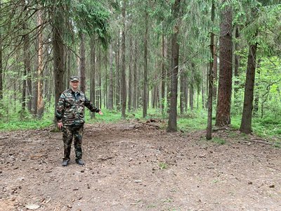 В регионе на землях лесного фонда в этом году ликвидировано 39 несанкционированных свалок