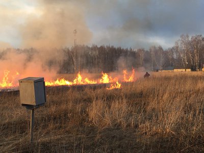 За сжигание травы и мусора – штраф