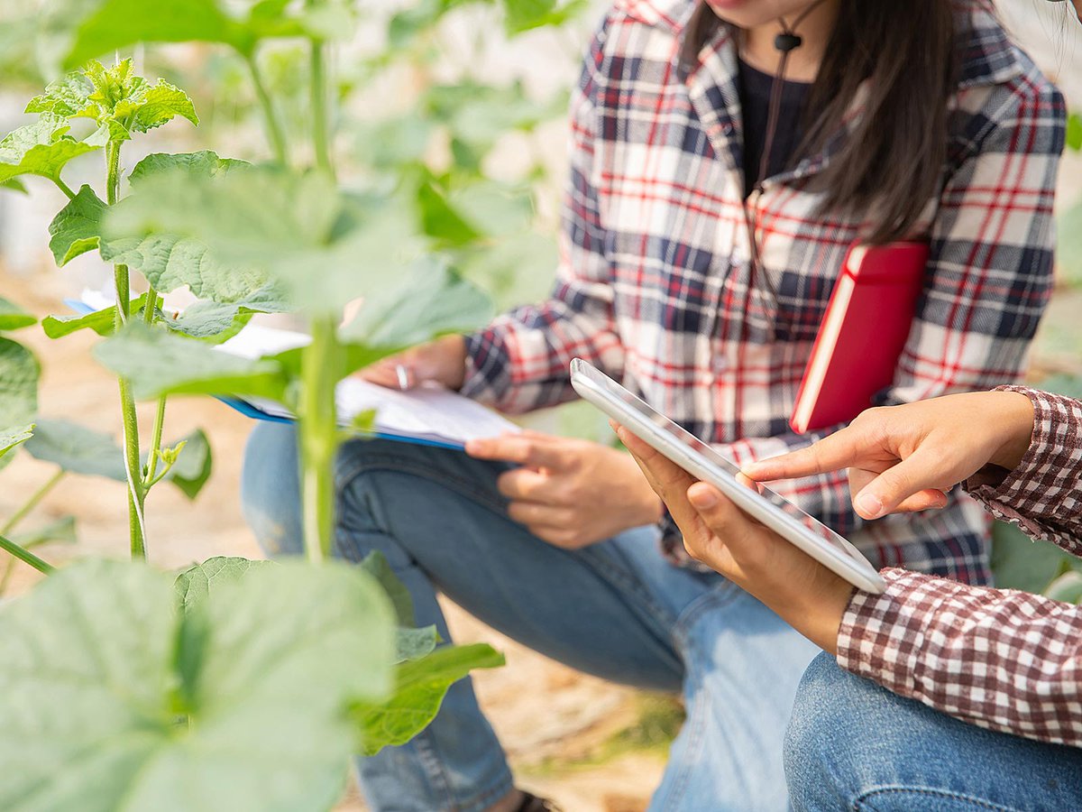 Исследование растений. Агрокультура наука. Science Agriculture.