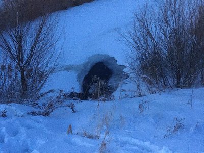 Трое детей провалились под лёд в Кстовском районе, один ребёнок погиб