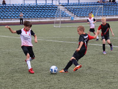 турнир-памяти-бродского-4.jpg