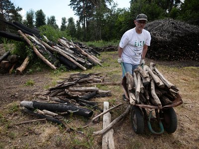 У нижегородцев появилась возможность для бесплатной заготовки дров