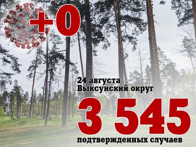 В Выксе +0, в Нижегородской области +427, в России +18 833