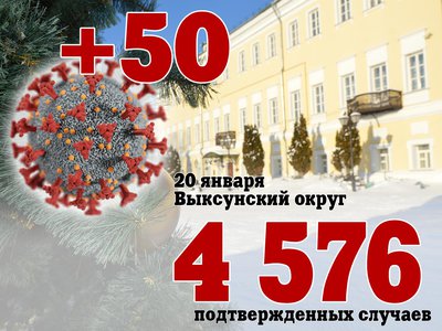 В Выксе +50, в Нижегородской области +661, в России +38 850