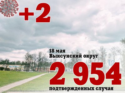 В Выксе +2, в Нижегородской области +135, в России +8 183