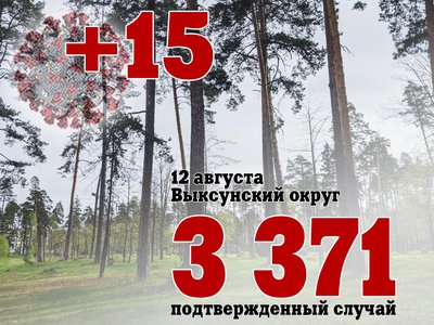 В Выксе +15, в Нижегородской области +549, в России +21 932