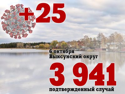 В Выксе +25, в Нижегородской области +611, в России +25 133