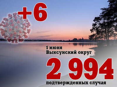 В Выксе +6, в Нижегородской области +144, в России +9 500