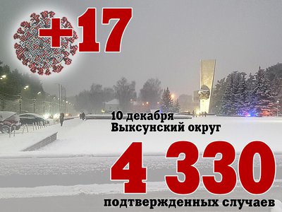 В Выксе +17, в Нижегородской области +548, в России +30 873