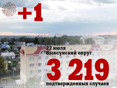 В Выксе +1, в Нижегородской области +534, в России +24 471