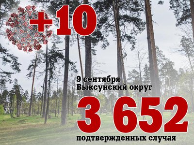 В Выксе +10, в Нижегородской области +406, в России +18 380