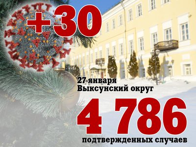 В Выксе +30, в Нижегородской области +1 445, в России +88 816