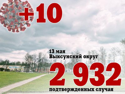 В Выксе +10, в Нижегородской области +121, в России +8380